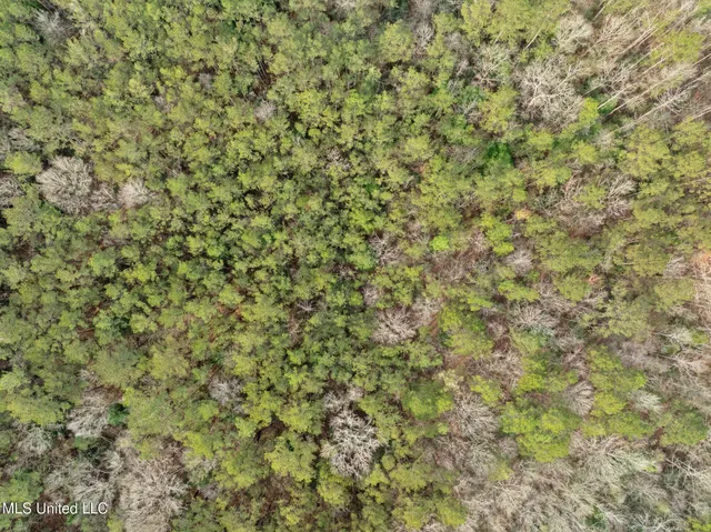 $610,000 | 135 472nd Highway, Pinola, MS 39149