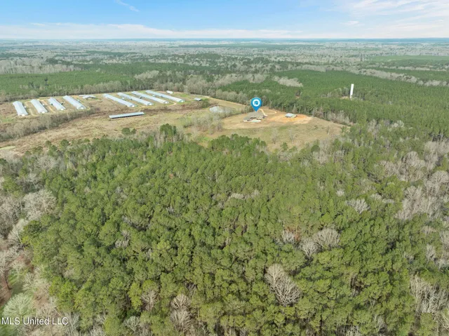 $610,000 | 135 472nd Highway, Pinola, MS 39149