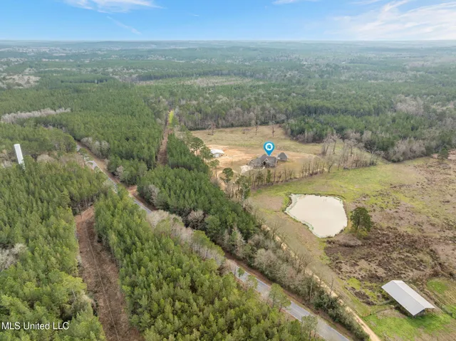 $610,000 | 135 472nd Highway, Pinola, MS 39149