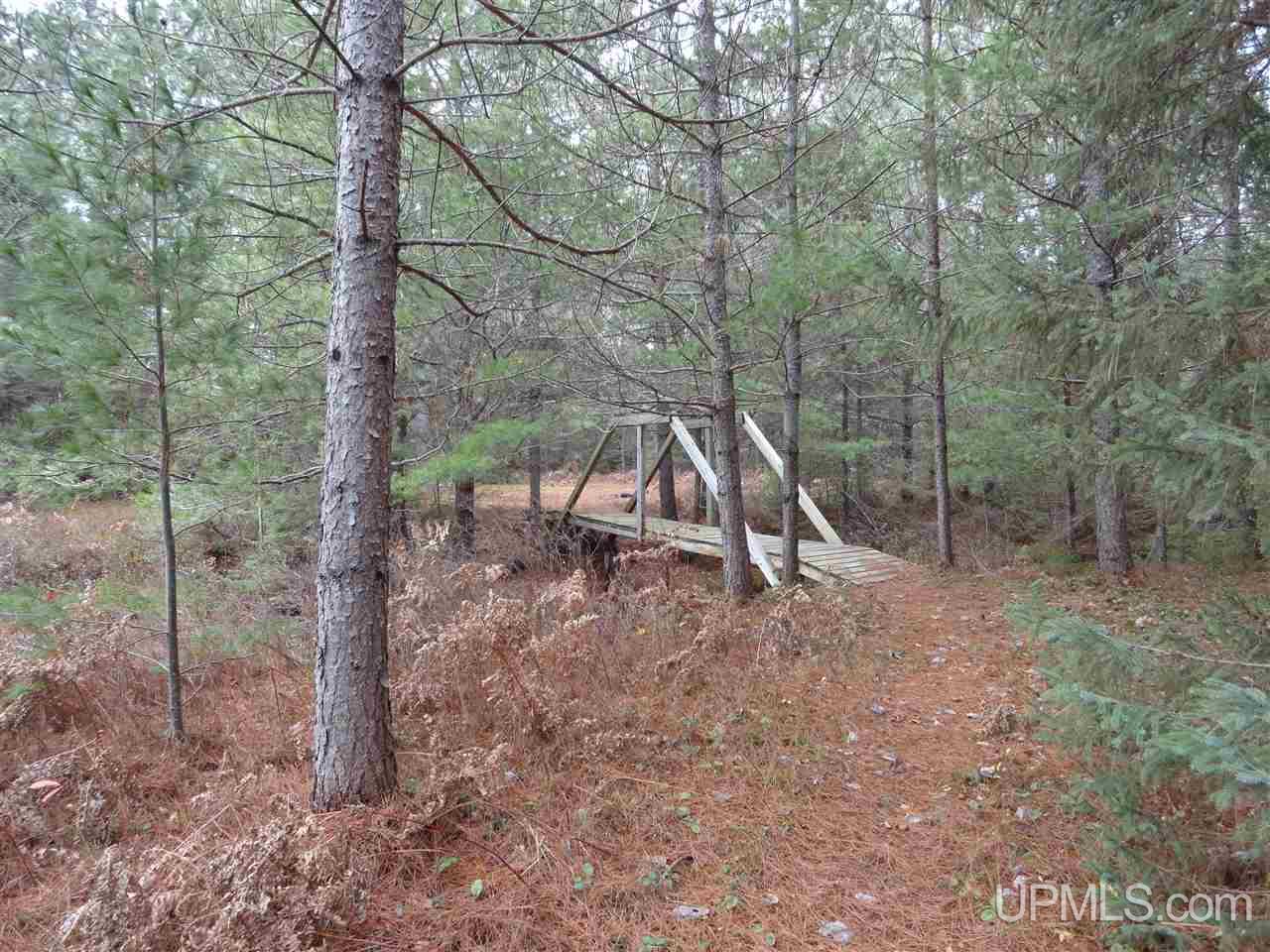 Tbd Tbd Bietala Boy Road Wetmore, MI 49895 - Photo 29 of 30