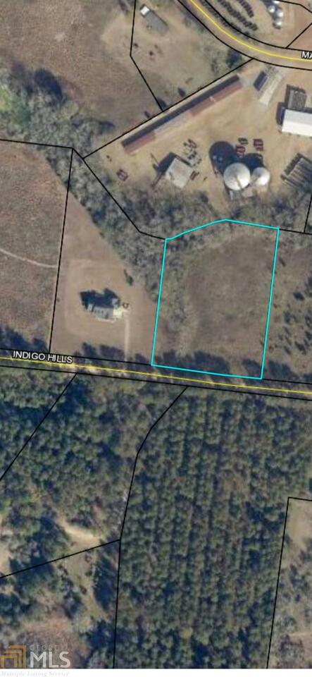 2 Indigo Hills Road Pembroke, GA 31321 - Photo 1 of 1 a view of a backyard