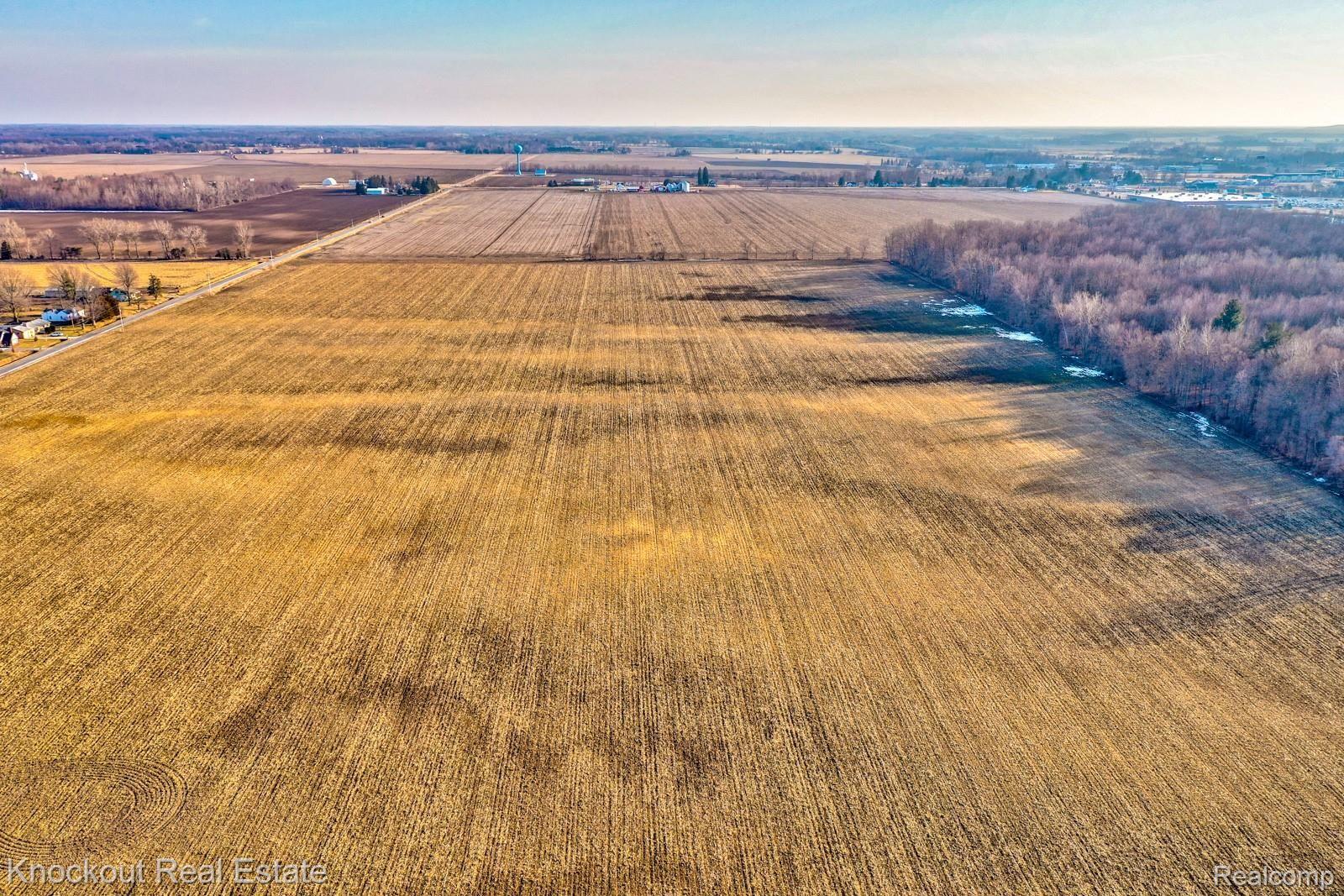 10665 South Dehmel Road Birch Run, MI 48415 - Photo 35 of 41 9900 Canada-5.jpg