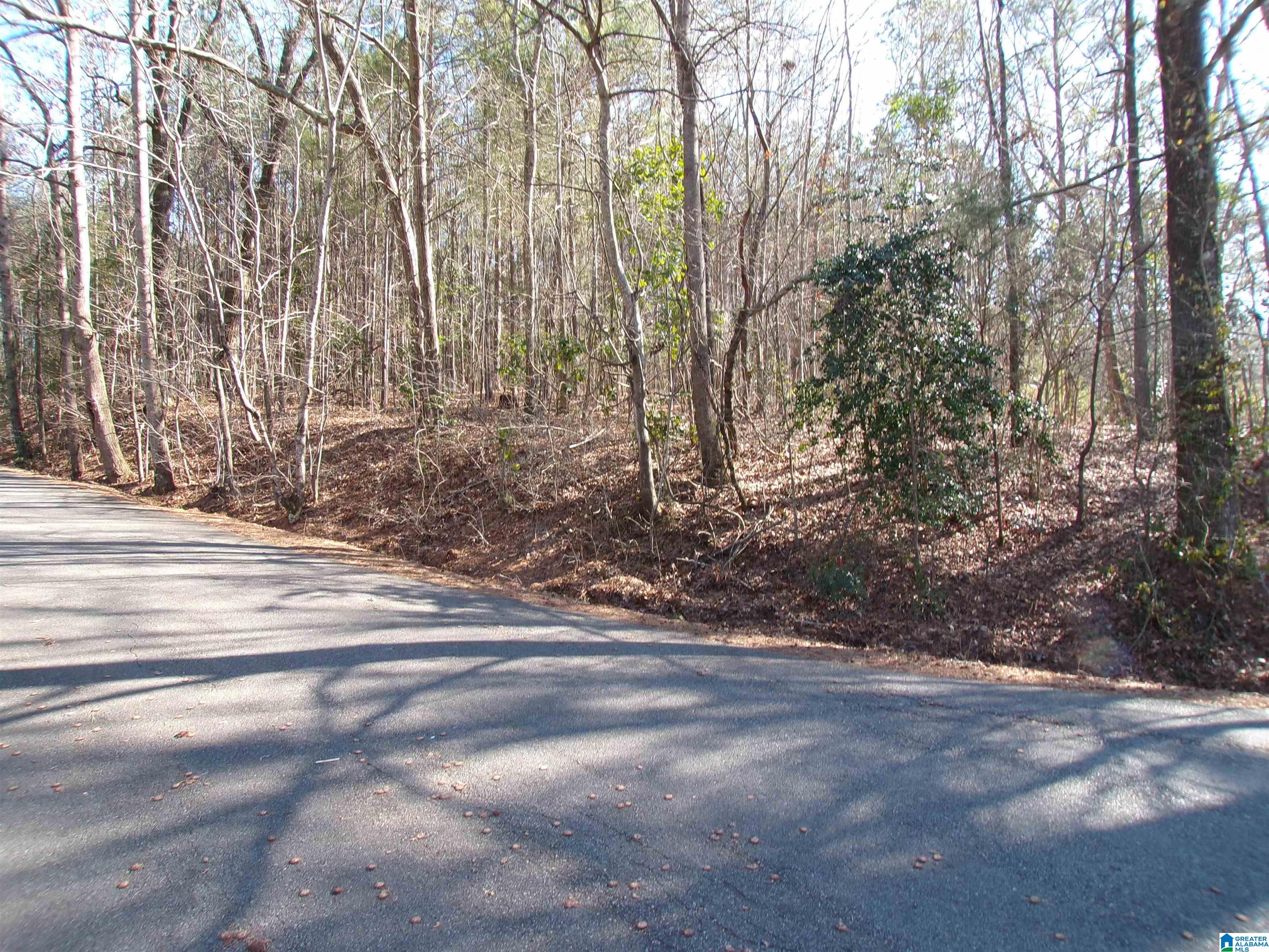0 Arthur Drive, Unit 27 Weaver, AL 36277 - Photo 2 of 15