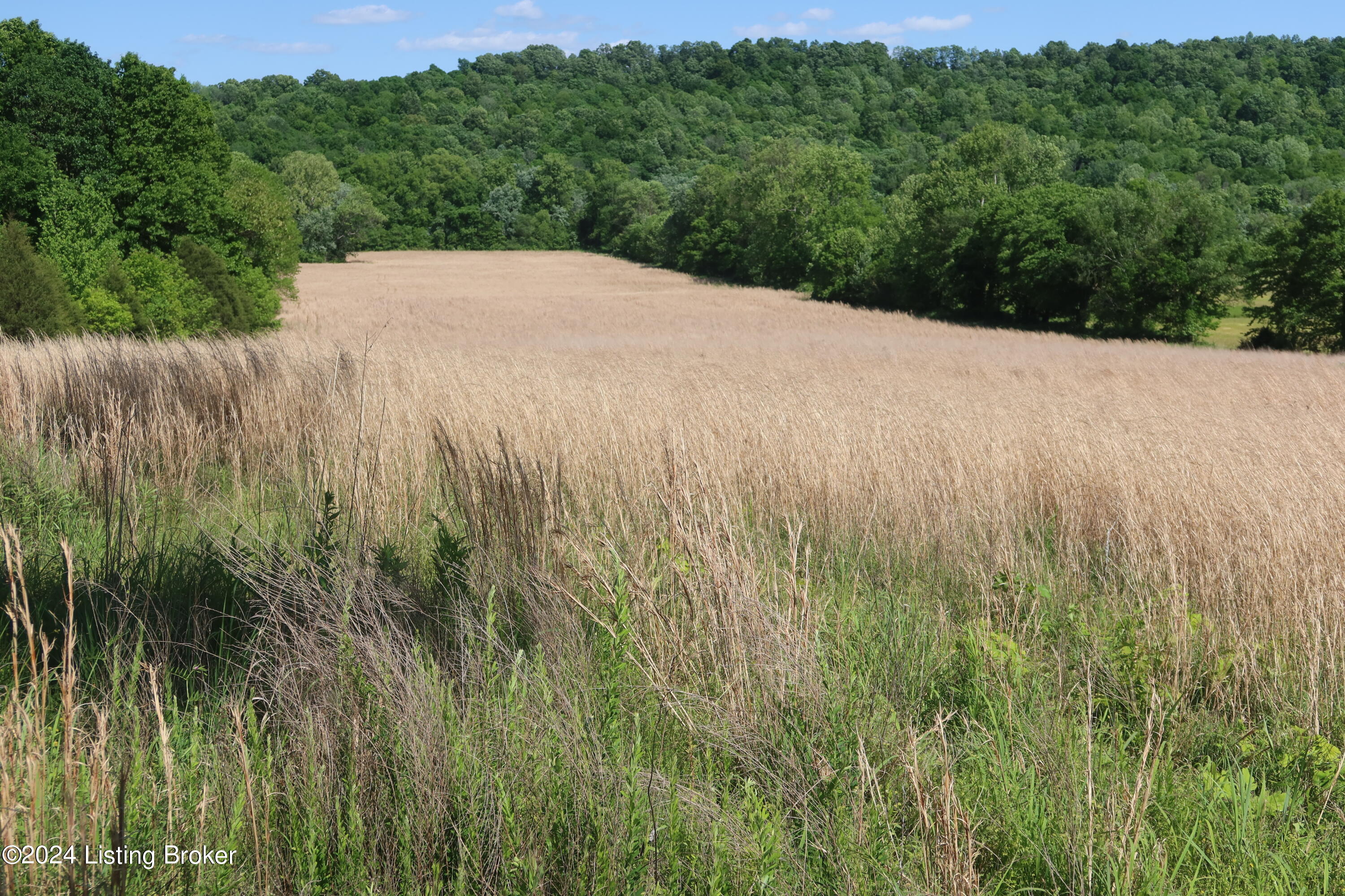 0 Schneider Road Falls Of Rough, KY 40119 - Photo 1 of 16 Front