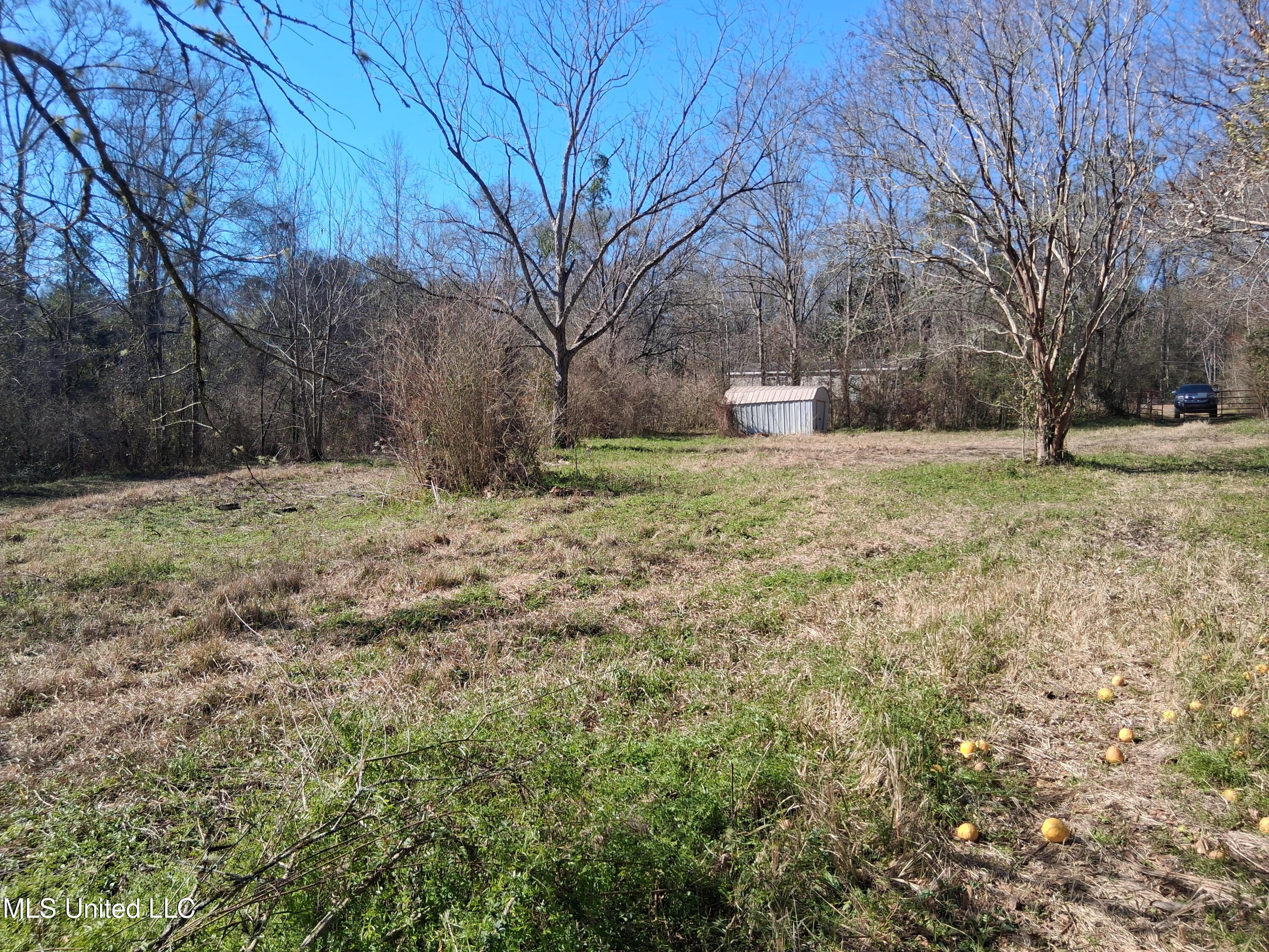 15208 Old River Road Vancleave, MS 39565 - Photo 20 of 24 16