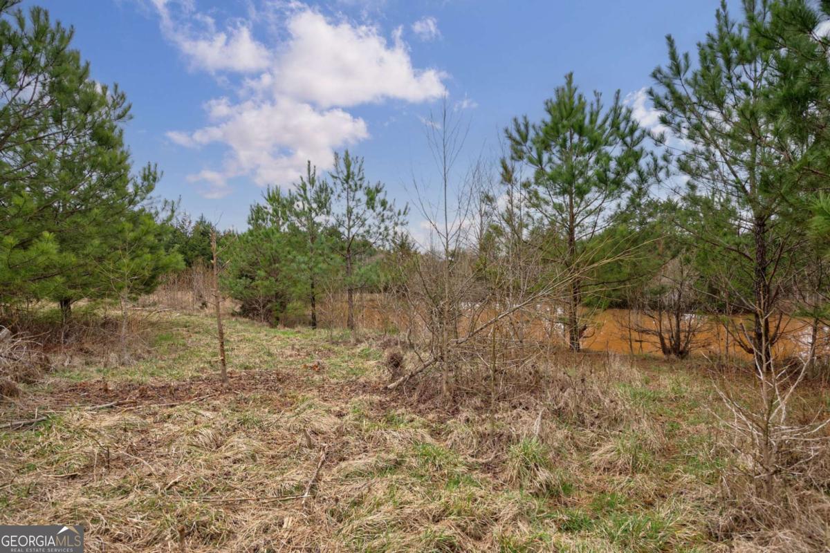 Tract 2 High Shoals Road Bishop, GA 30621 - Photo 18 of 40