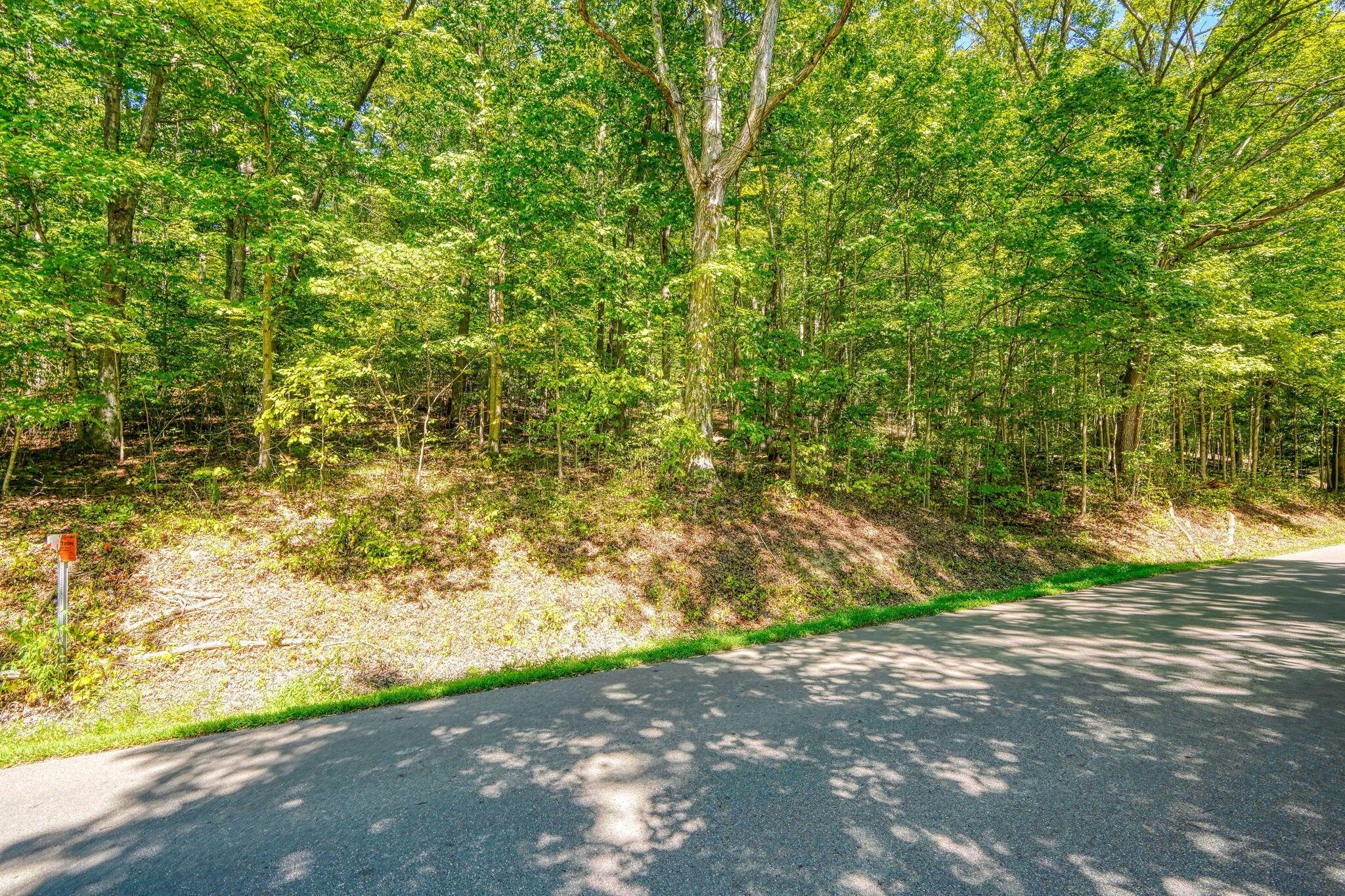 0 Alma Omega Road Waverly, OH 45690 - Photo 15 of 15 Alma Omega Road (35)