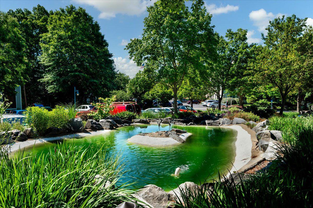 921 Spinnaker Way, Unit 921 Solomons, MD 20688 - Photo 7 of 10 Peaceful oasis amidst lush greenery.