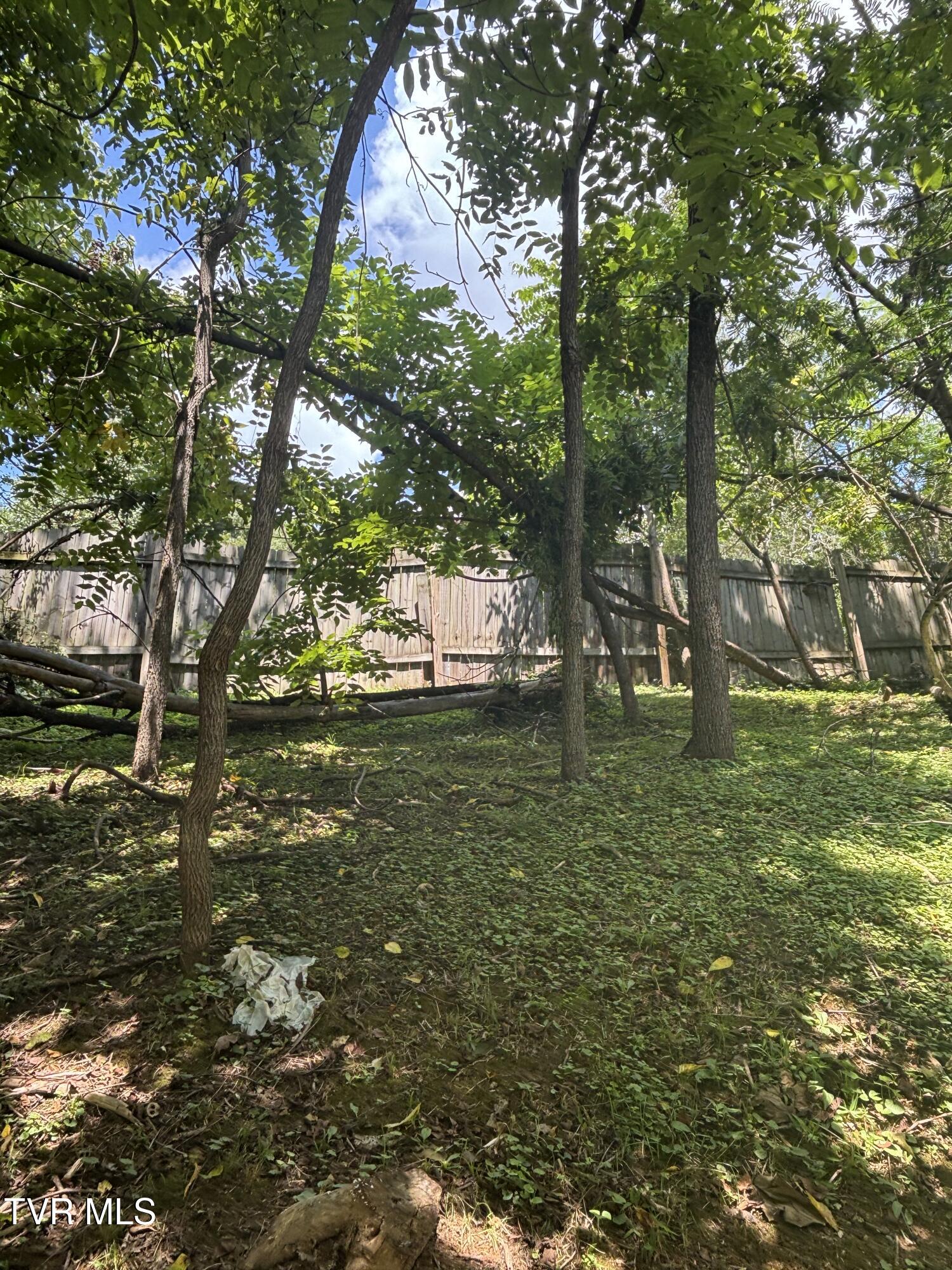 2822 Plymouth Road, Unit 2 Johnson City, TN 37601 - Photo 7 of 27 IMG_4488
