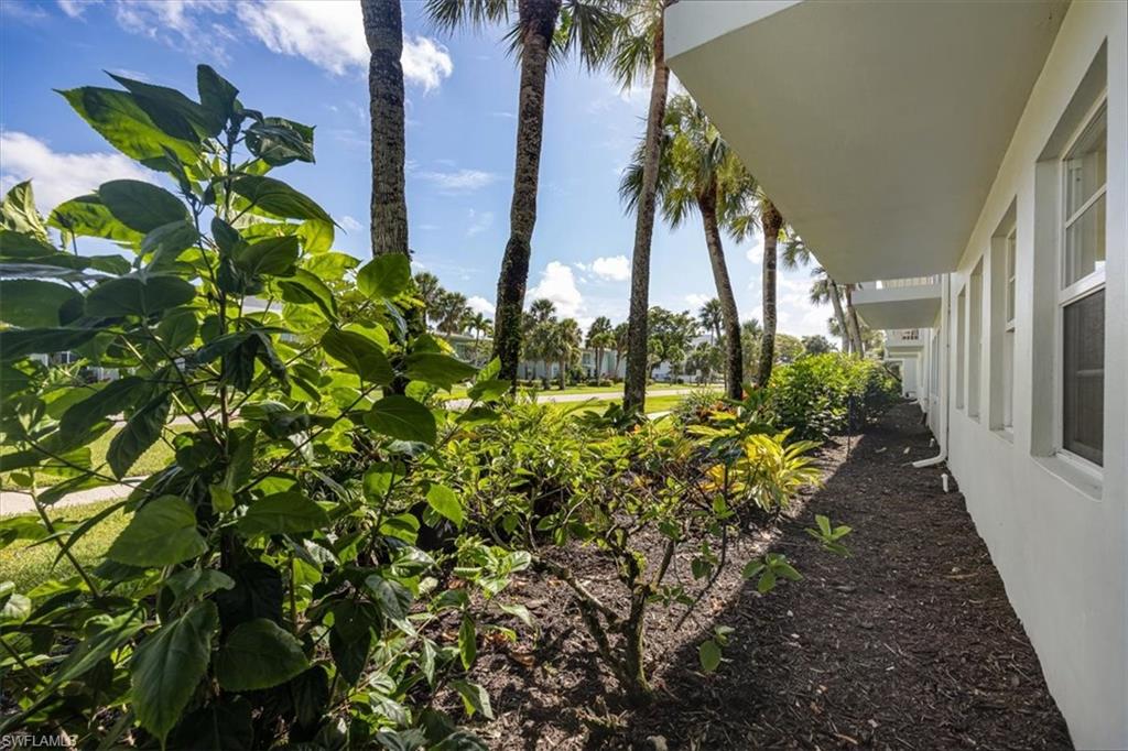 626 12th Avenue South, Unit 626 Naples, FL 34102 - Photo 38 of 50 a view of a garden with a flower