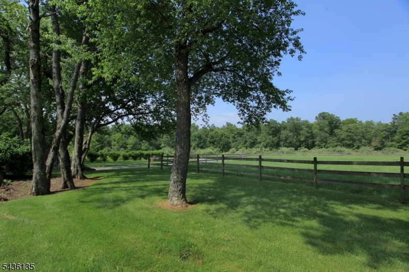 96 Pickle Road Califon, NJ 07830 - Photo 4 of 11