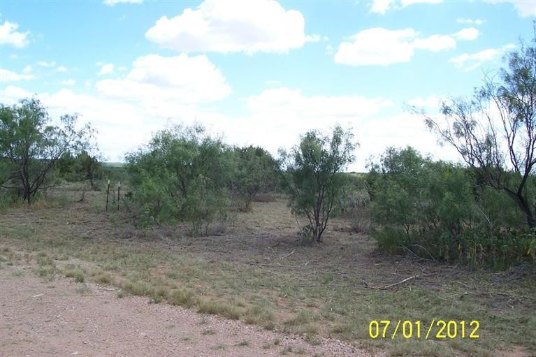 46 Fagan Road Snyder, TX 79549 - Photo 2 of 6 Photo 2