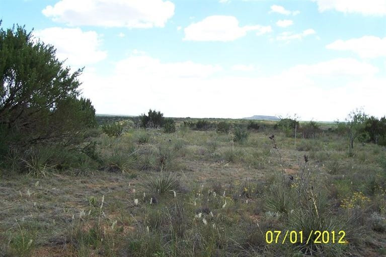 46 Fagan Road Snyder, TX 79549 - Photo 4 of 6 Photo 4