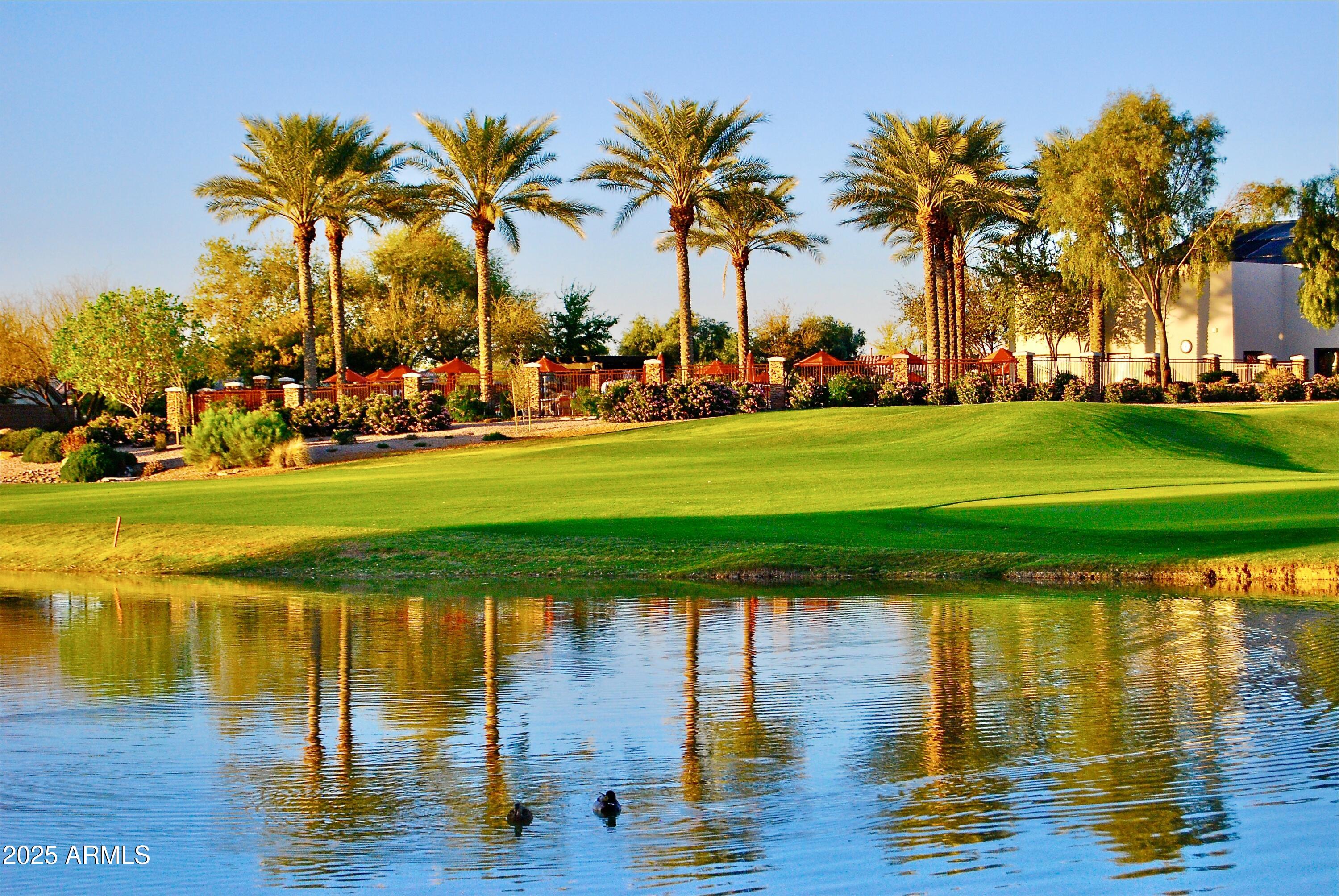 4335 East Walnut Road Gilbert, AZ 85298 - Photo 48 of 68 DSC_0022