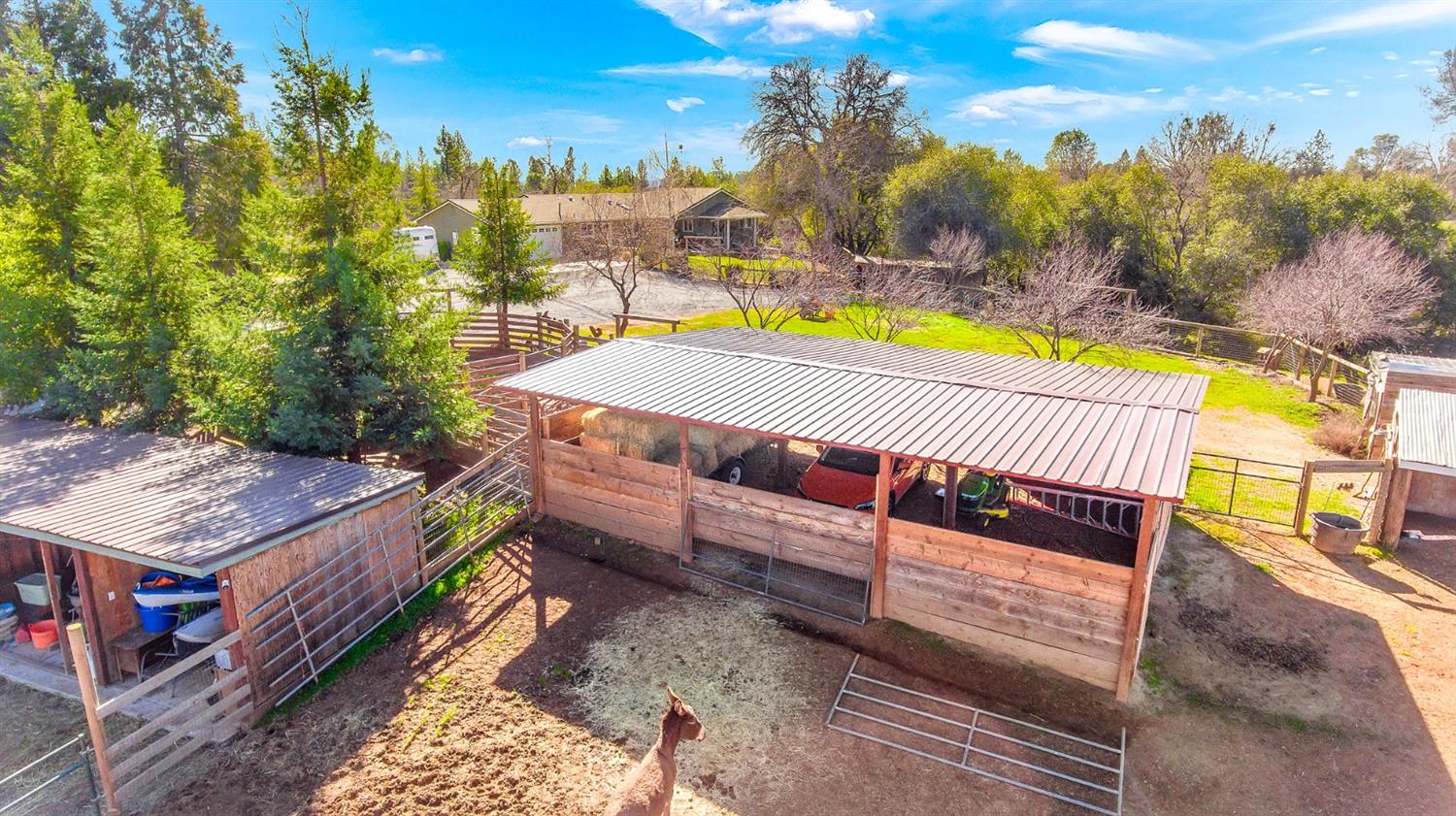 3432-3434 Overton Road Cool, CA 95614 - Photo 54 of 91 a view of a swimming pool with a patio
