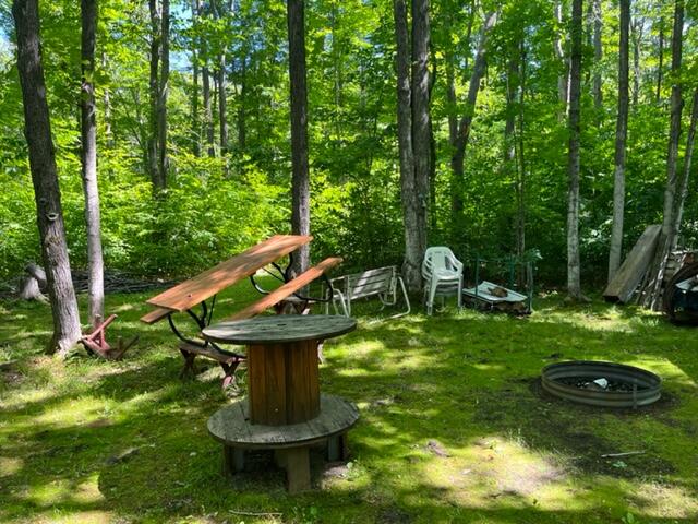 West Townline Road Grayling, MI 49738 - Photo 5 of 44 Gallery Image 5