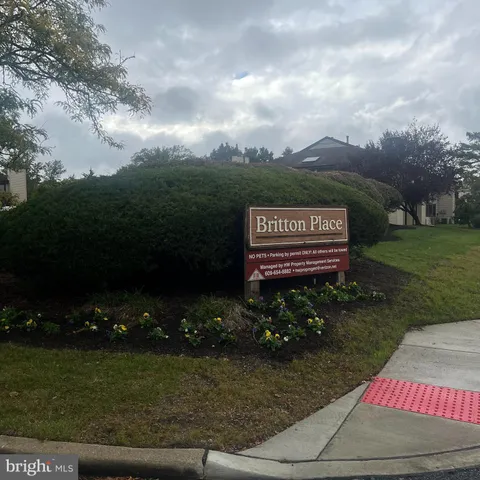 a view of a bench in a garden