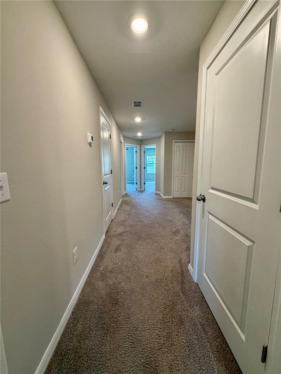 11826 Dumaine Valley Road Riverview, FL 33579 - Photo 22 of 54 a view of a hallway