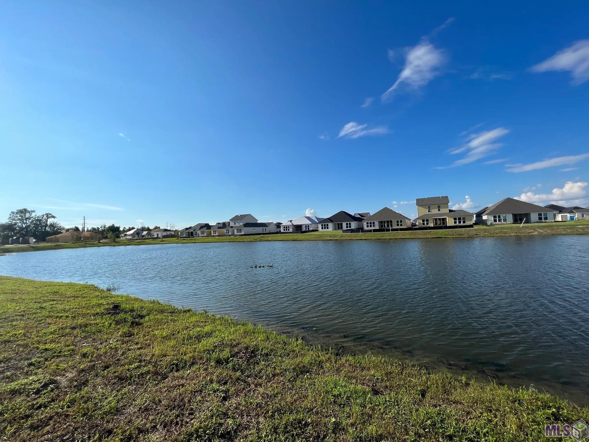 3114 Creekmere Lane St. George, LA 70810 - Photo 6 of 9