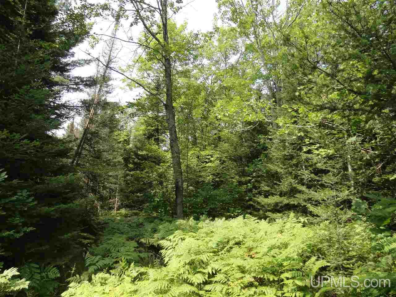40-acres 40-acres Co Road Ishpeming, MI 49849 - Photo 19 of 36