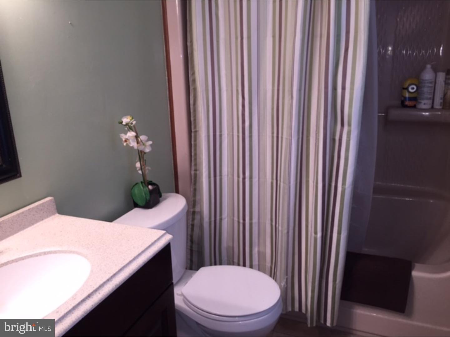 210 Shoemaker Road Bridgeton, NJ 08302 - Photo 19 of 22 a bathroom with a sink a toilet and shower curtain