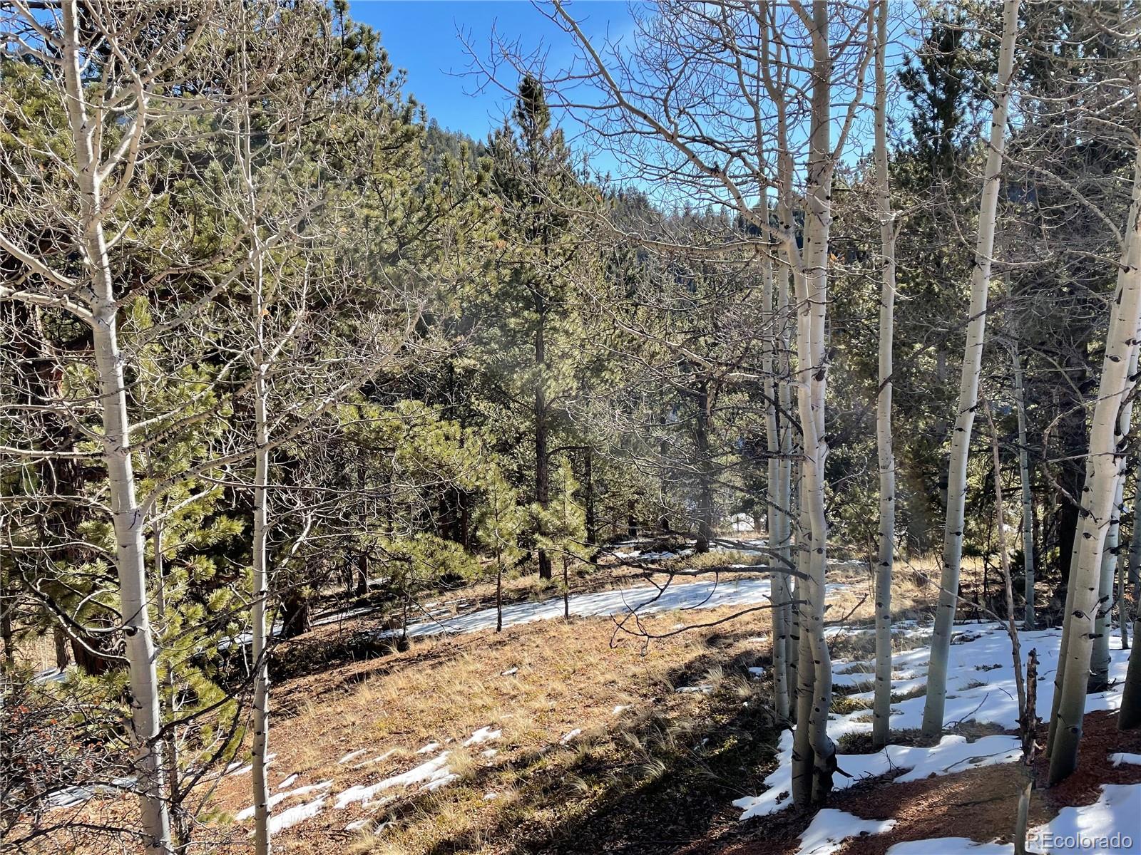 466 Valley Road Divide, CO 80814 - Photo 1 of 8 Gallery Image 1