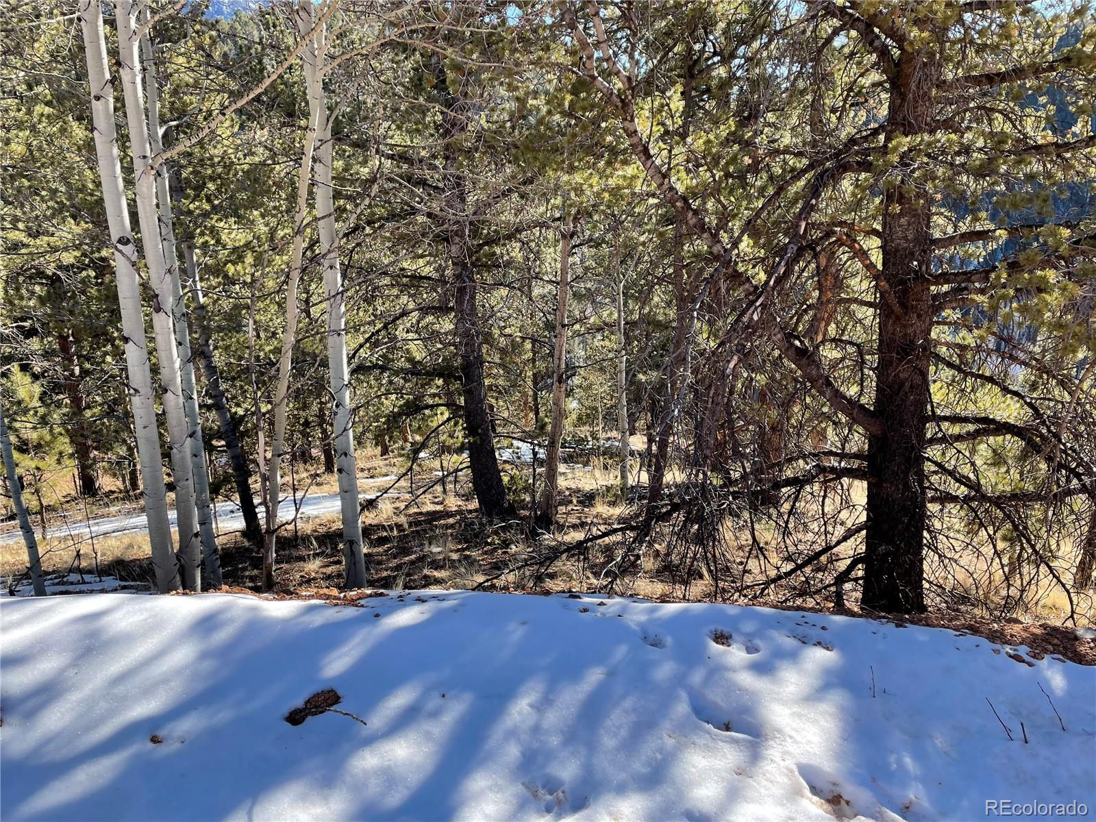 466 Valley Road Divide, CO 80814 - Photo 2 of 8 Gallery Image 2