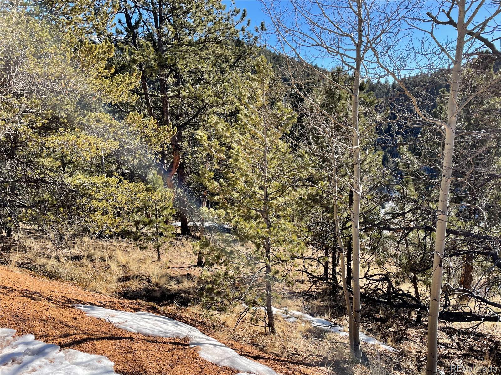 466 Valley Road Divide, CO 80814 - Photo 3 of 8 Gallery Image 3