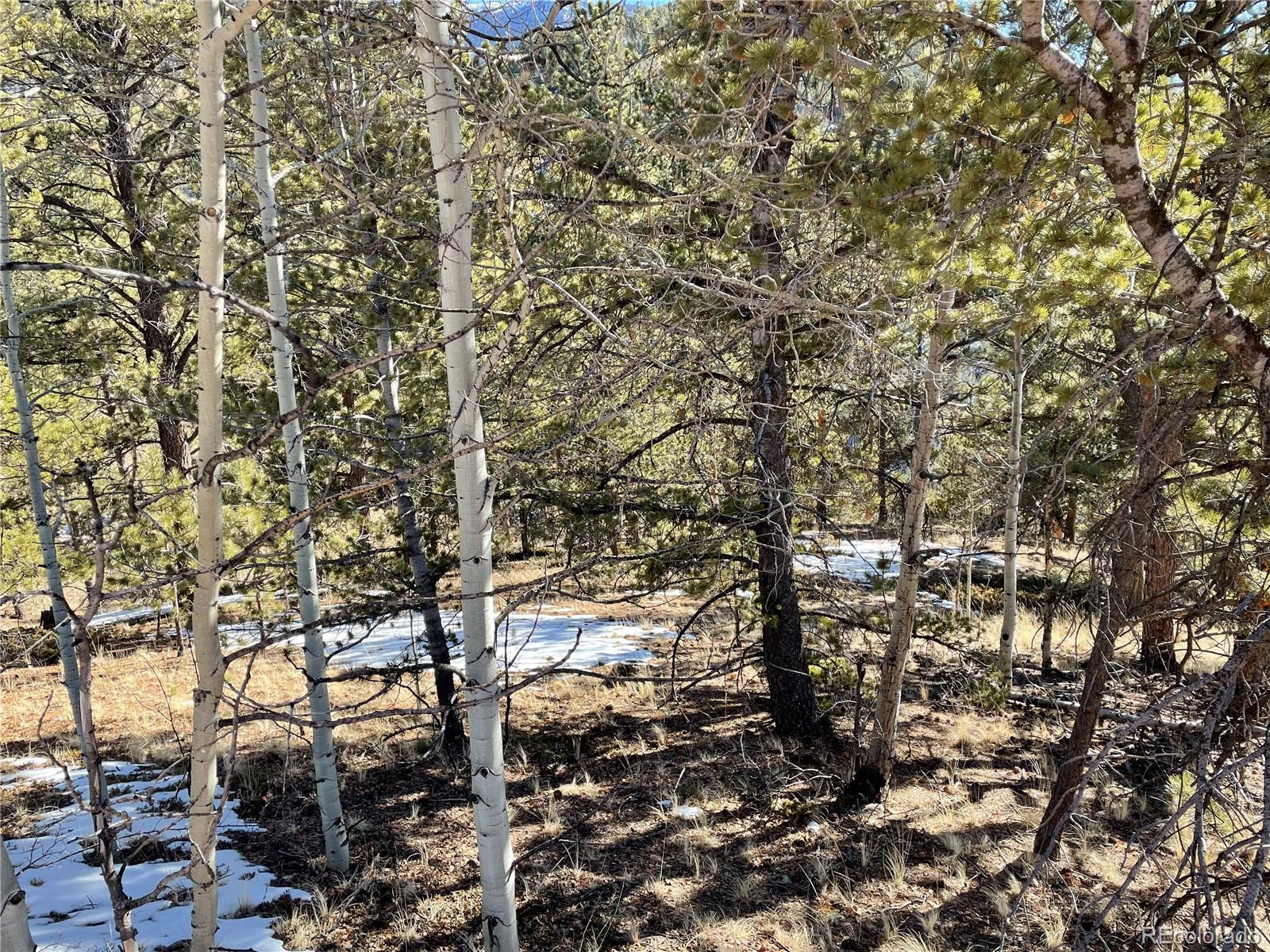 466 Valley Road Divide, CO 80814 - Photo 6 of 8 Gallery Image 6