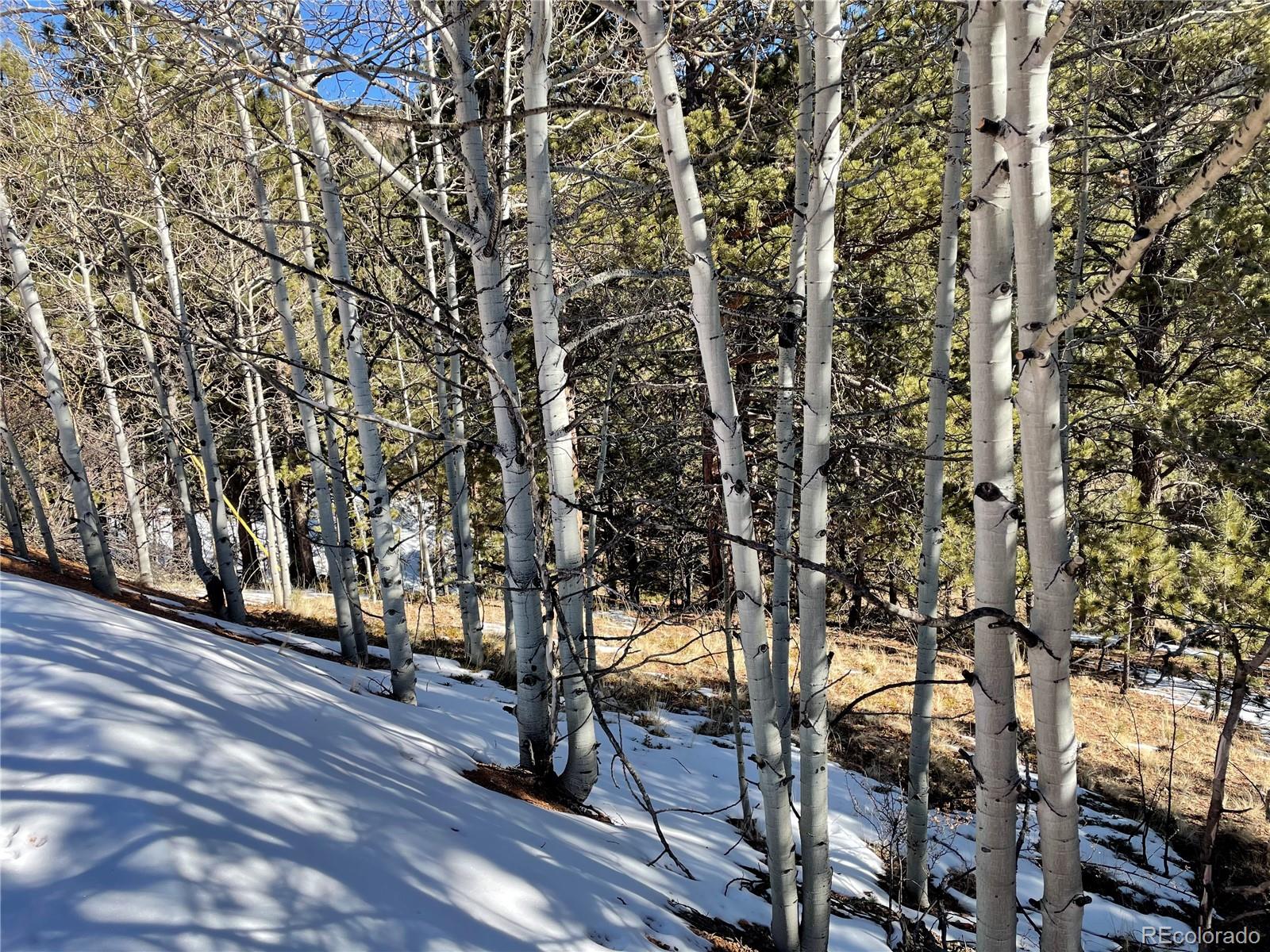 466 Valley Road Divide, CO 80814 - Photo 7 of 8 Gallery Image 7