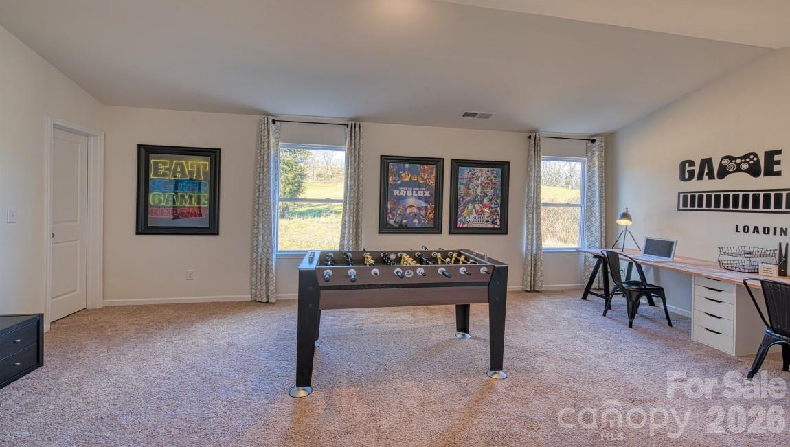 163 Salers Road Fletcher, NC 28732 - Photo 22 of 38