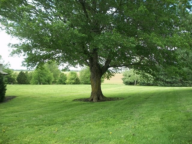 350 Hickman Mill Road Franklin, KY 42134 - Photo 4 of 20 Gallery Image 4