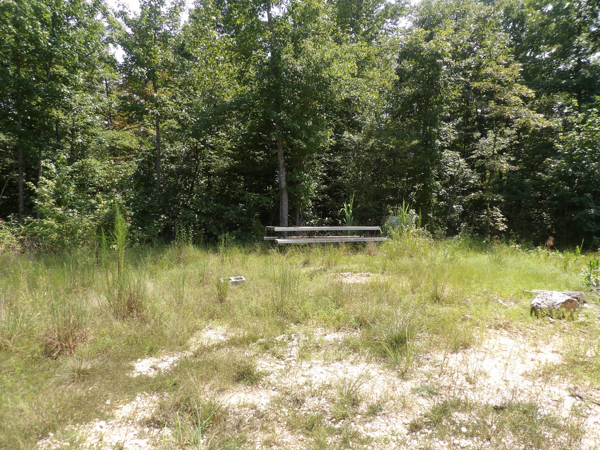 0 Old Union Church Road Holladay, TN 38341 - Photo 5 of 22 Gallery Image 5