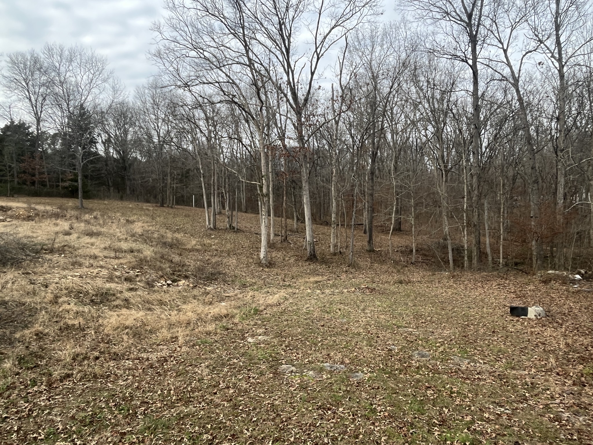 2694 Sims Road Shelbyville, TN 37160 - Photo 9 of 10 a backyard of a house with lots of green space