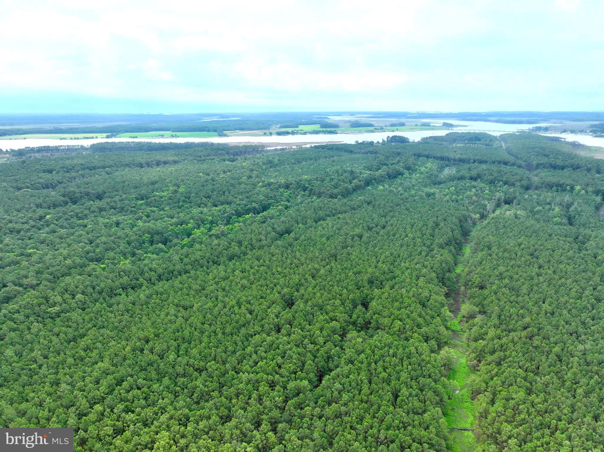 0 Hooper Neck Road Madison, MD 21648 - Photo 20 of 129