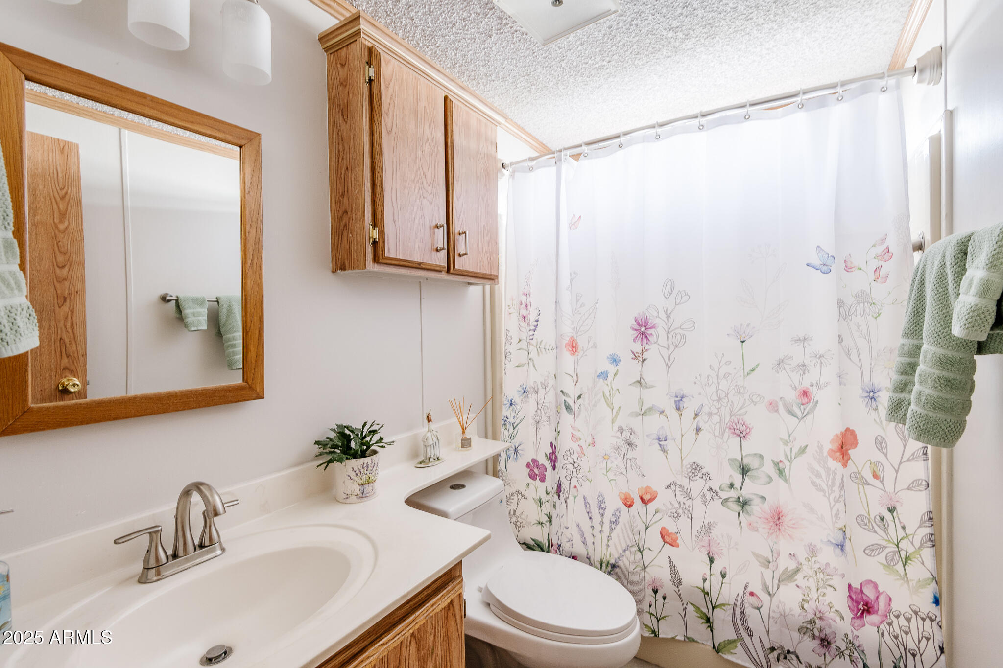 6770 West State Rte 89A, Unit 41 Sedona, AZ 86336 - Photo 26 of 31 a bathroom with a sink a toilet and shower curtain