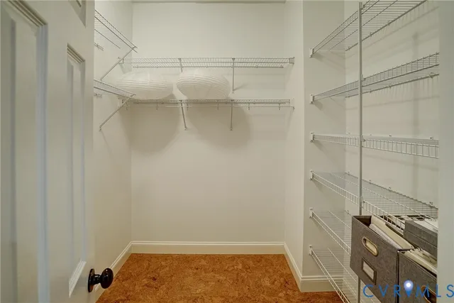 a view of a yard with large trees and a small yard