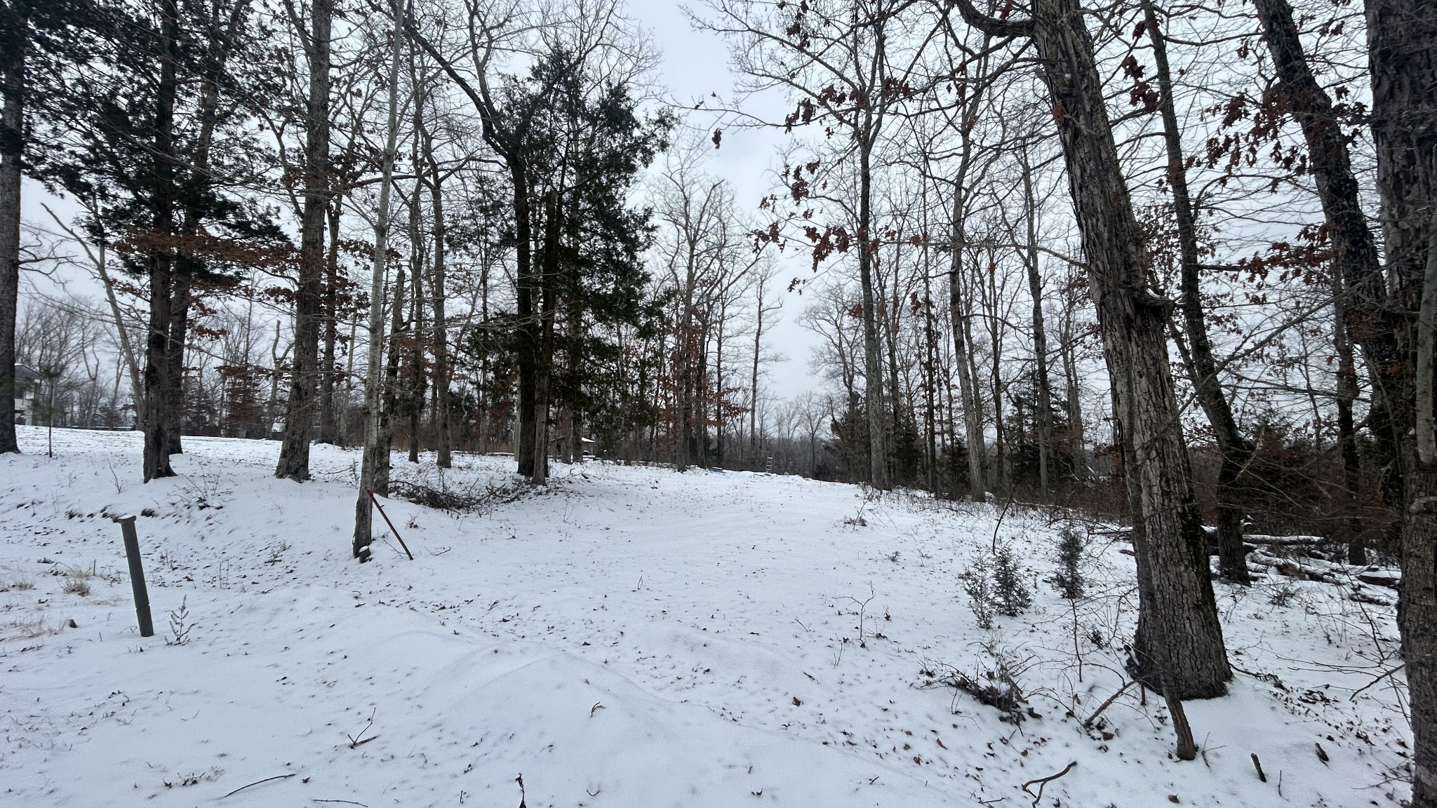 a view of outdoor space with trees
