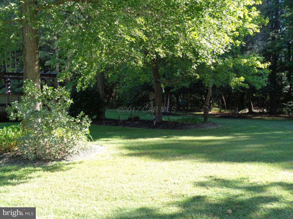 26787 Pratt Road Salisbury, MD 21801 - Photo 63 of 76 Gallery Image 63