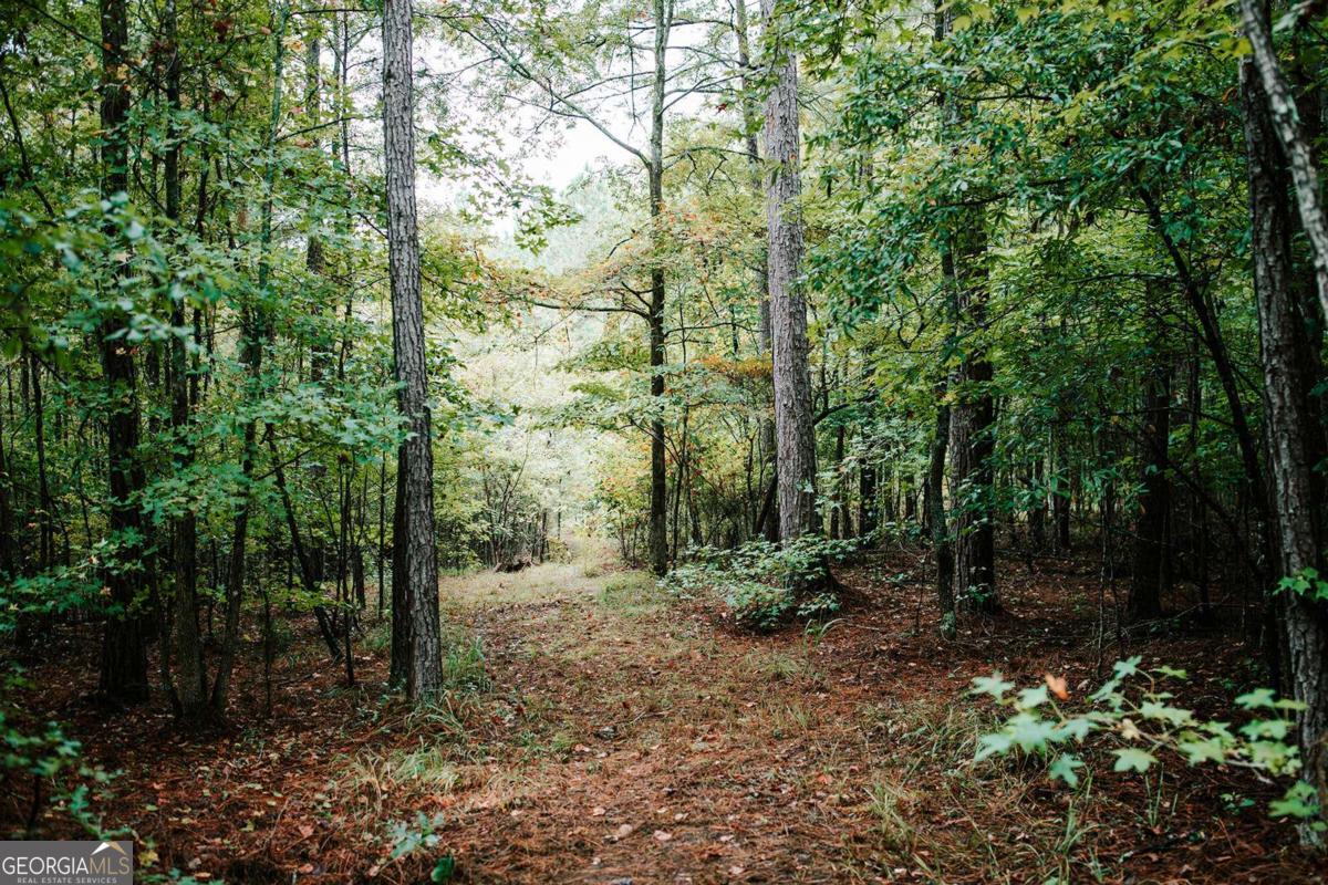 169 Bartram Trace Road Washington, GA 30631 - Photo 1 of 1