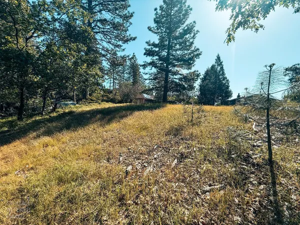 $9,500 | 1140 Sandalwood Drive, Murphys, CA 95247