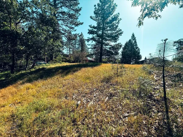 $9,500 | 1140 Sandalwood Drive, Murphys, CA 95247