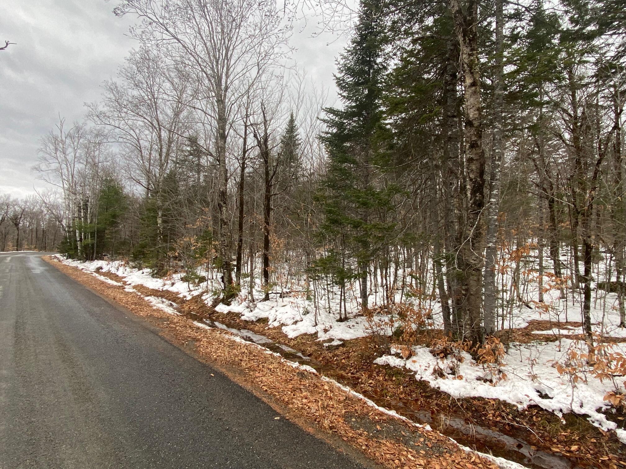 7-6 Elliotsville Road Guilford, ME 04443 - Photo 10 of 15 IMG_1982
