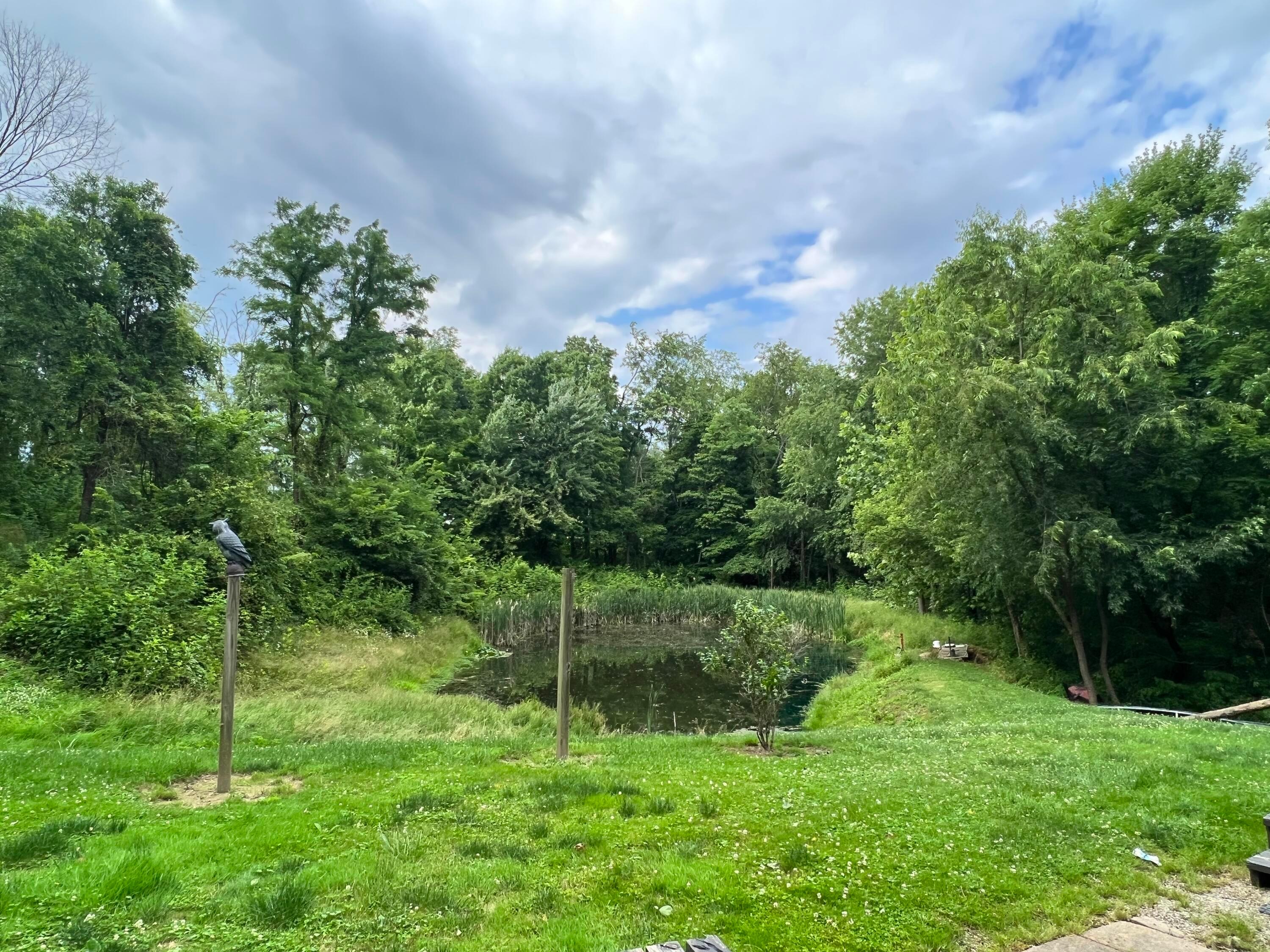 12875 Amish Ridge Road Mount Perry, OH 43760 - Photo 2 of 19 Stocked Pond