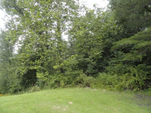 7700 Clark Orchard Road Freedom, IN 47431 - Photo 9 of 23