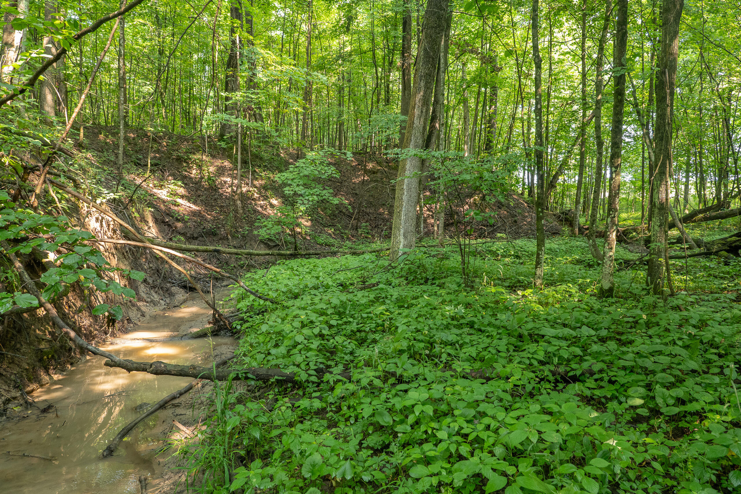 6819 Squawfield Road Pittsford, MI 49271 - Photo 51 of 58 051_P1100939