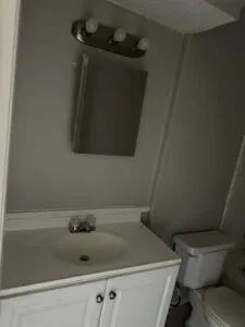 a bathroom with a sink and a toilet