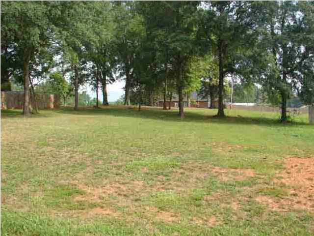 1191 Buckelew Bridge Road Anniston, AL 36207 - Photo 20 of 23