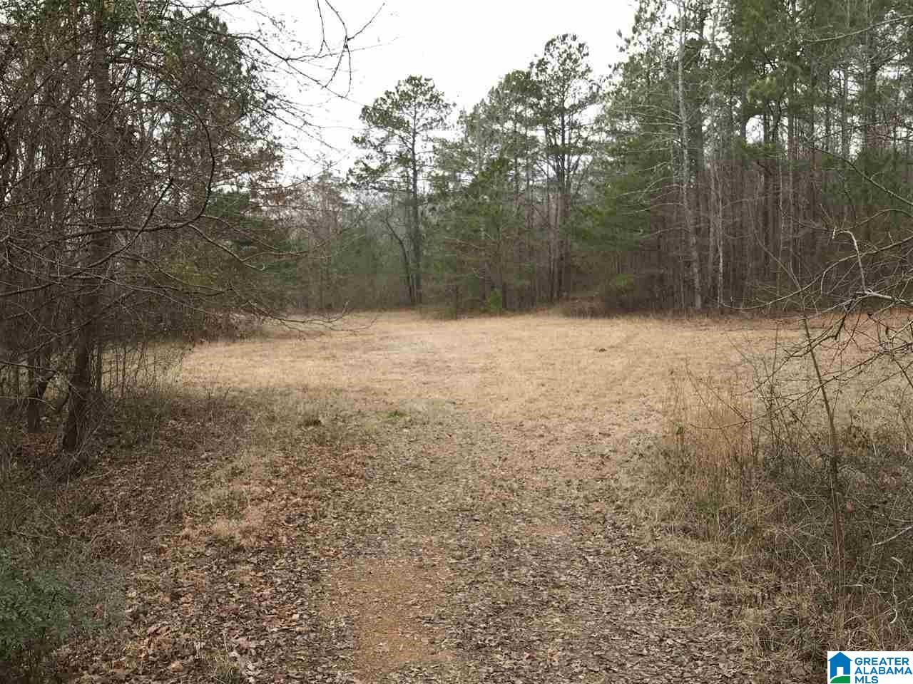 346 Hunters Lane Vandiver, AL 35176 - Photo 36 of 38
