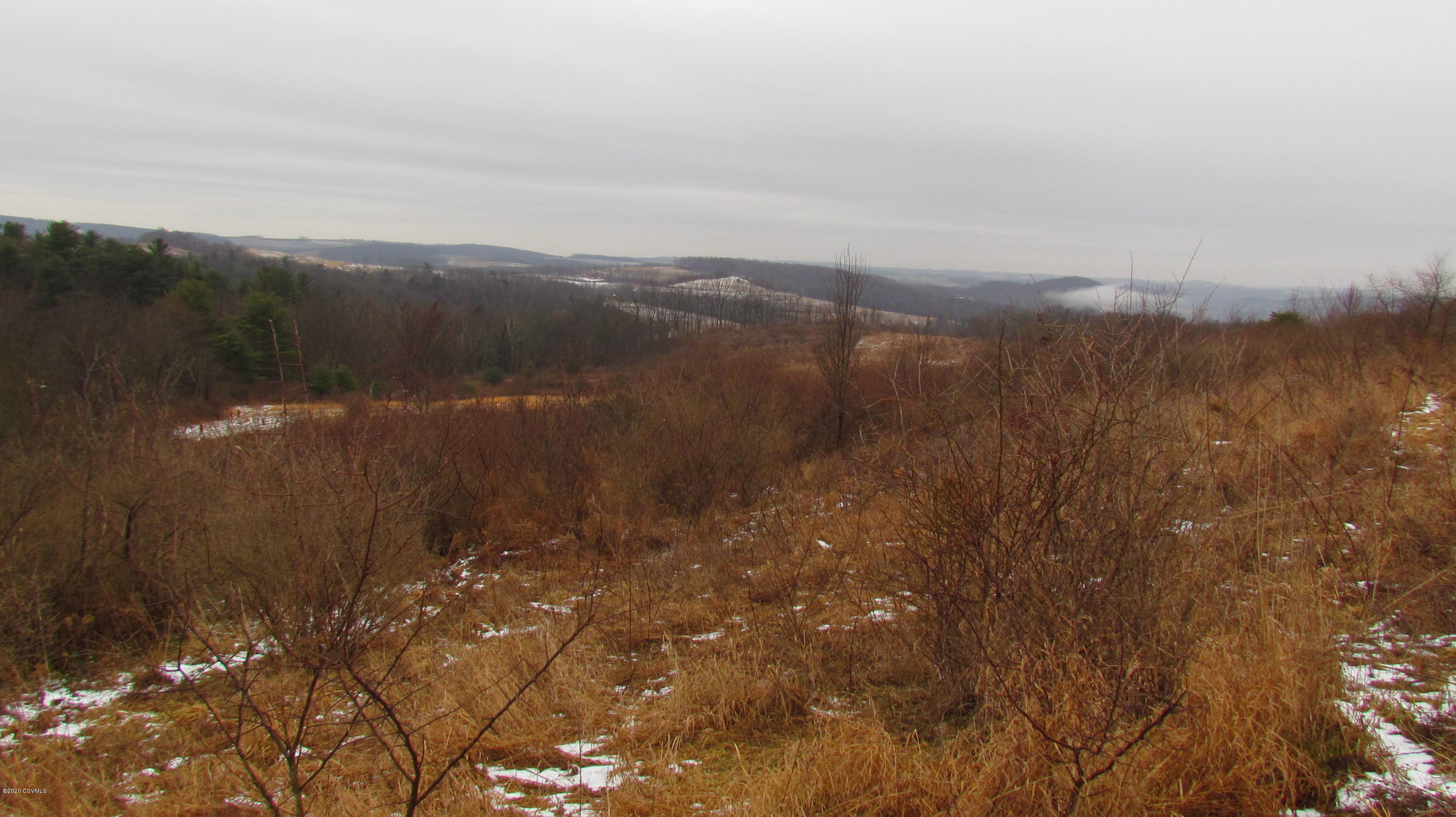 Funston Road Muncy, PA 17756 - Photo 6 of 12